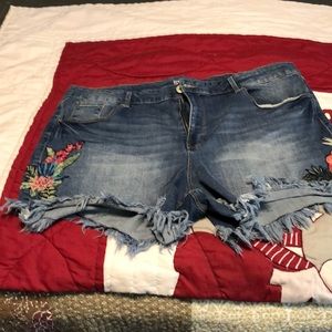 Terra & Sky shorts plus size 24W